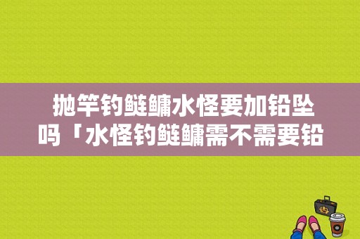  抛竿钓鲢鳙水怪要加铅坠吗「水怪钓鲢鳙需不需要铅坠」