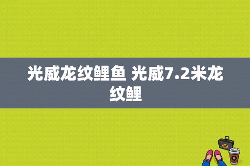 光威龙纹鲤鱼 光威7.2米龙纹鲤